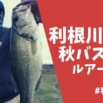 秋の利根川水系のバス釣りを地元アングラーが徹底解説!おすすめルアー・リグとエリアもご紹介
