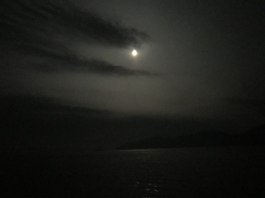 琵琶湖オオナマズを釣るタイミングの画像