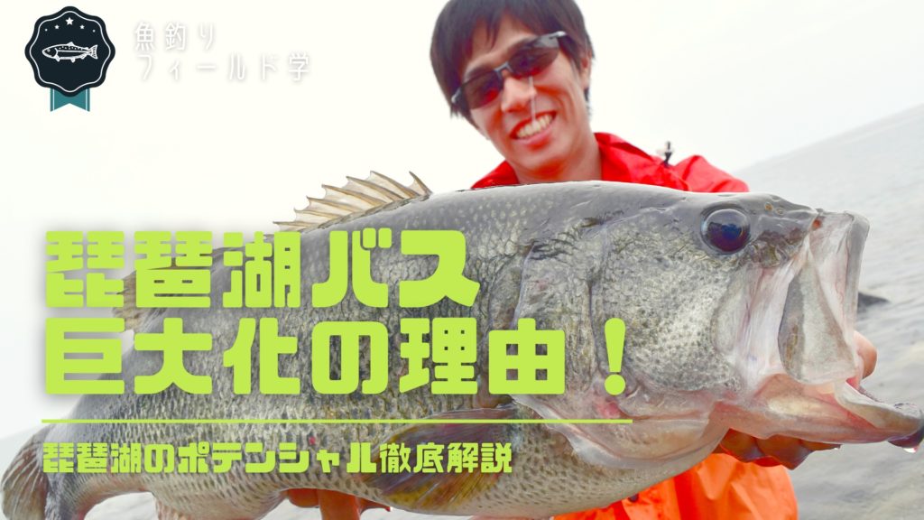 琵琶湖のブラックバス巨大化の理由_サムネイル