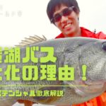 琵琶湖のブラックバスが巨大化する理由を解説!世界記録級のサイズが釣れる3つの理由をご紹介