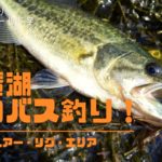 【バス釣り】秋の琵琶湖エリアを地元アングラーが解説!おすすめルアー・リグ・エリアもご紹介