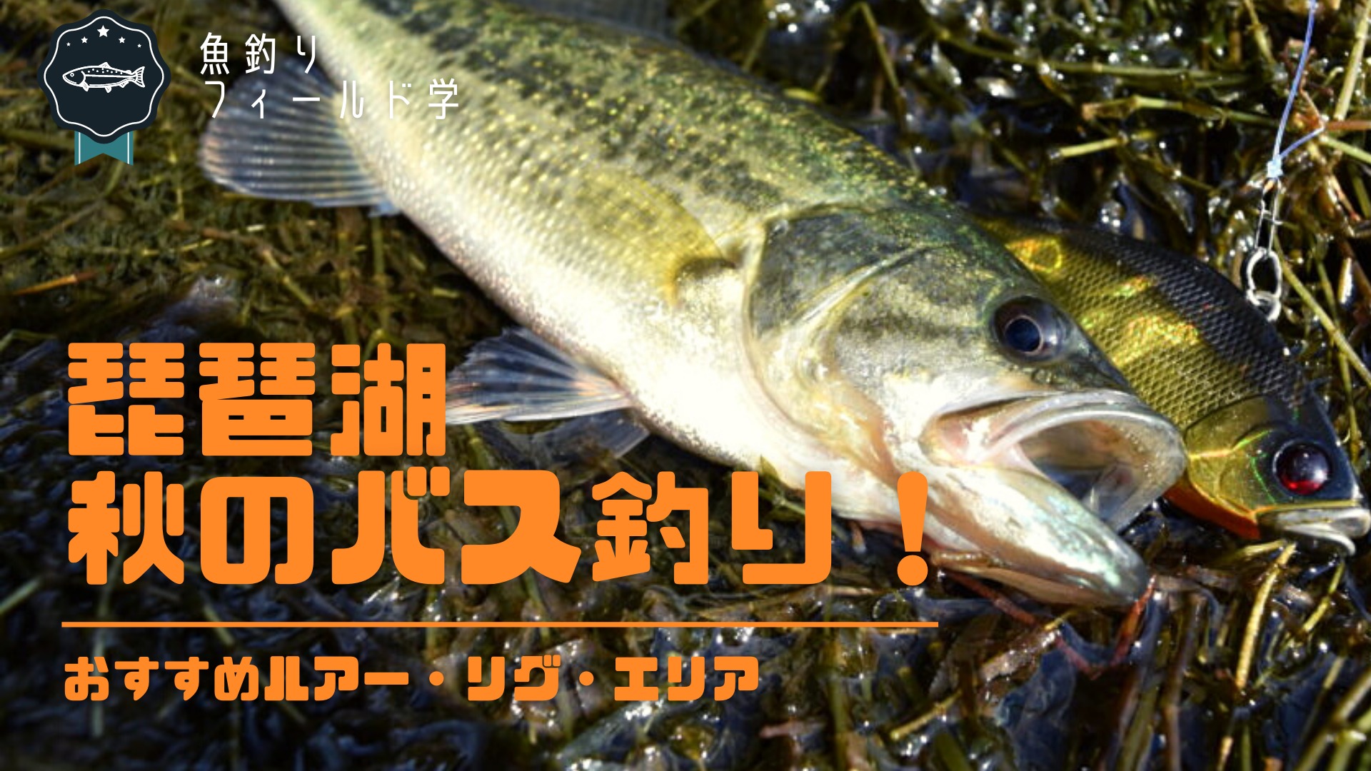 【バス釣り】秋の琵琶湖エリアを地元アングラーが解説！おすすめルアー・リグ・エリアもご紹介
