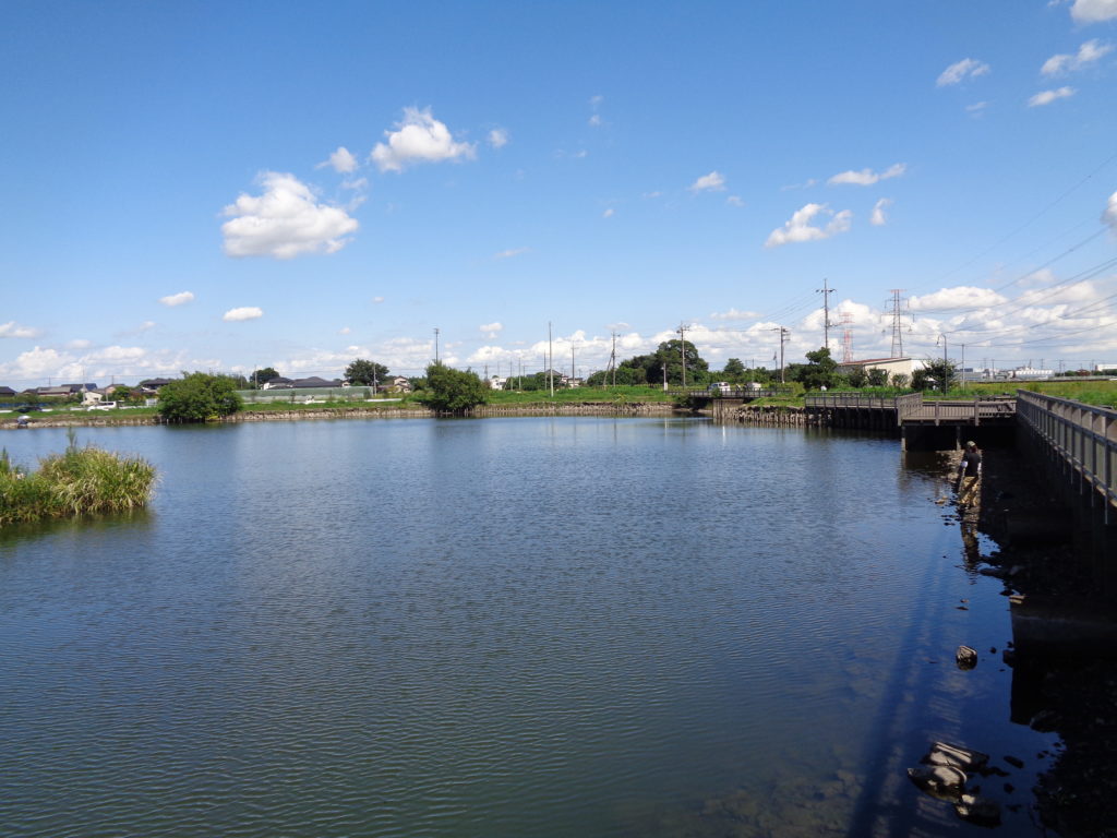 利根川水系の冬のバス釣りを地元アングラーが徹底サポート おすすめルアー リグ エリア選びも解説 Aquabit Link