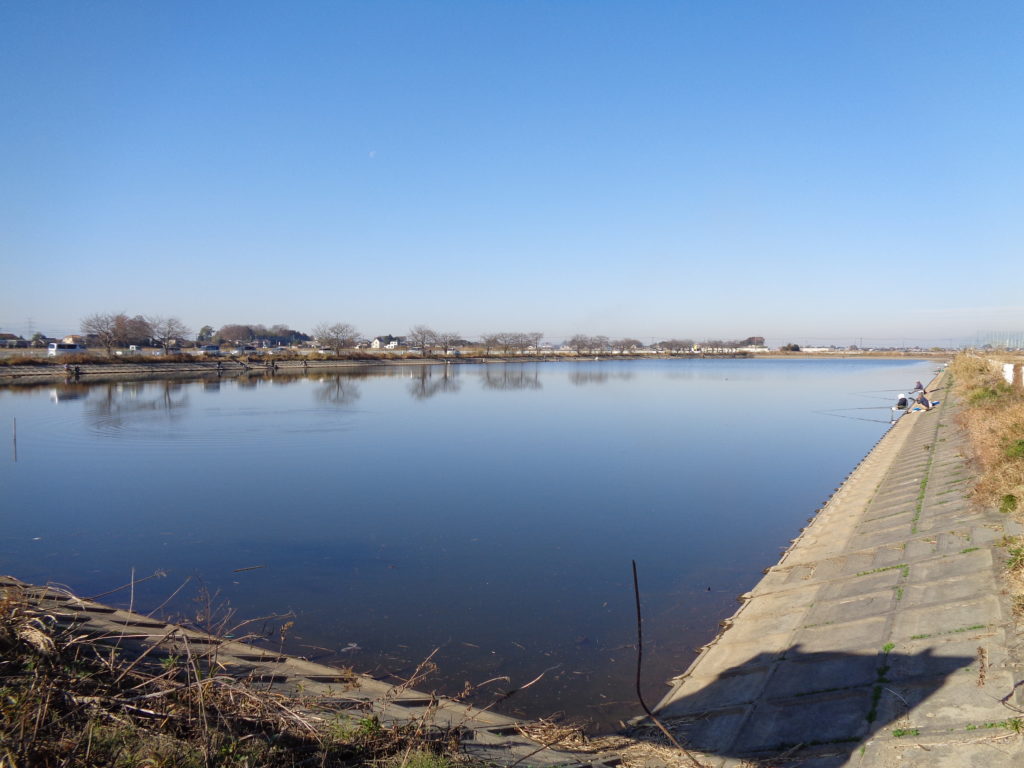 冬の利根川水系のバス釣りおすすめエリア_油井ヶ島沼
