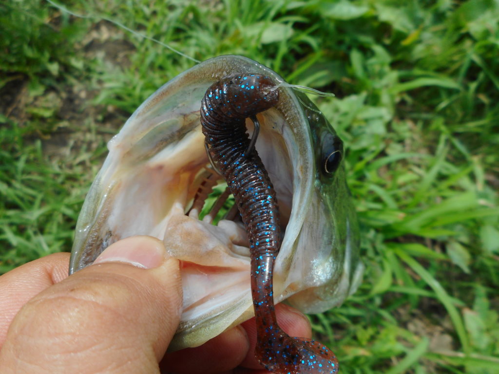 O.S.Pルアーは確実に1匹を釣りたい人におすすめ