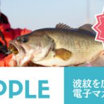 issei沈み蟲の釣れるバックスライドを体感せよ!使い方とセッティングをご紹介!