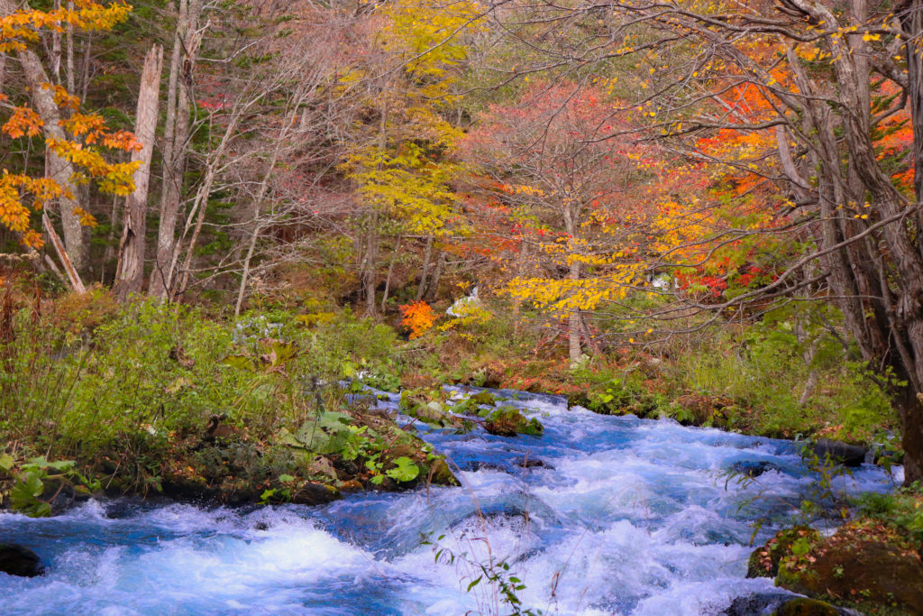 阿寒川でも魚釣りができる