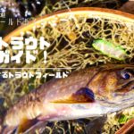 阿寒湖の魚釣りフィールドガイド!北海道の代表的なトラウトレイクをご紹介