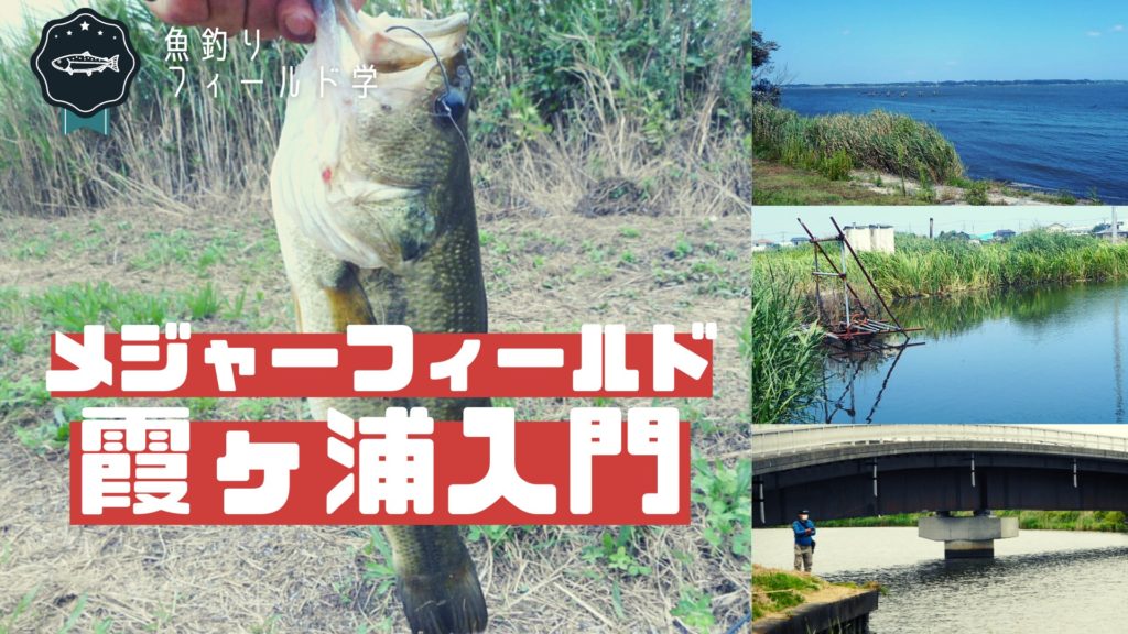 霞ヶ浦のバス釣り入門_サムネイル