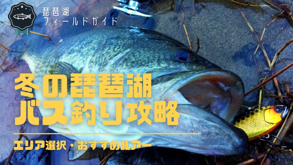 冬の琵琶湖バス釣り攻略_サムネイル
