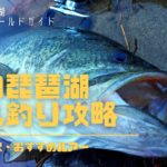 冬の琵琶湖のバス釣りを攻略!おすすめルアー・リグ5選とエリア選択を地元アングラーが徹底解説!