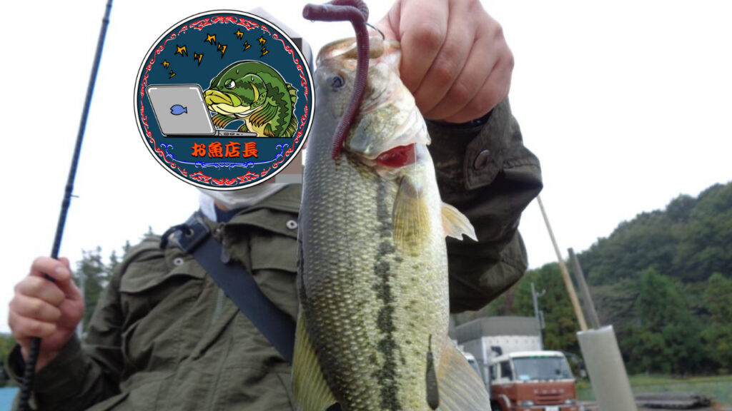 冬の利根川水系でバスを釣るためのおすすめルアー・リグ3選