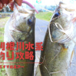 利根川水系の冬のバス釣りを地元アングラーが徹底サポート!おすすめルアー・リグ・エリア選びも解説
