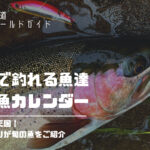 北海道のお魚カレンダー！お魚天国の北海道で季節ごとに釣れる魚の旬をご紹介