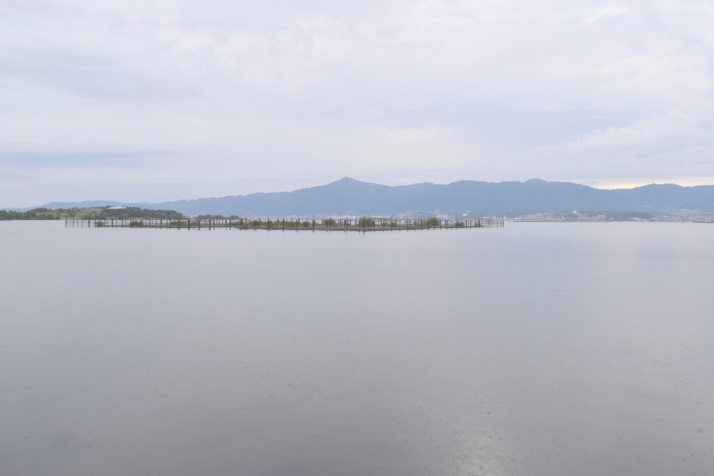 春の琵琶湖バス釣るためのエリア選び_南湖東岸