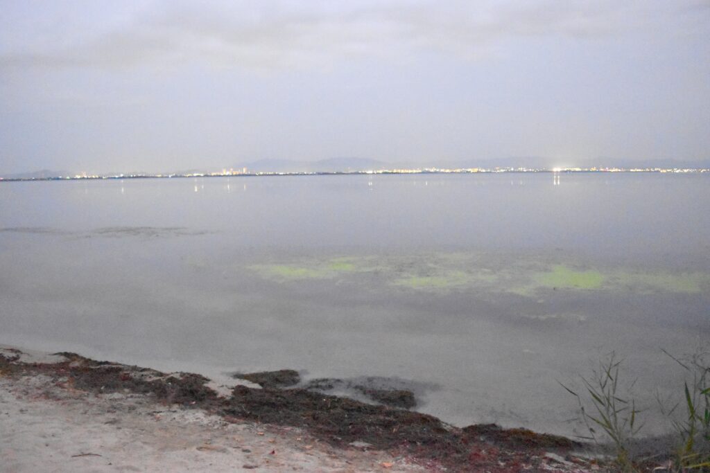 春の琵琶湖バス釣るためのエリア選び_南湖東岸_2
