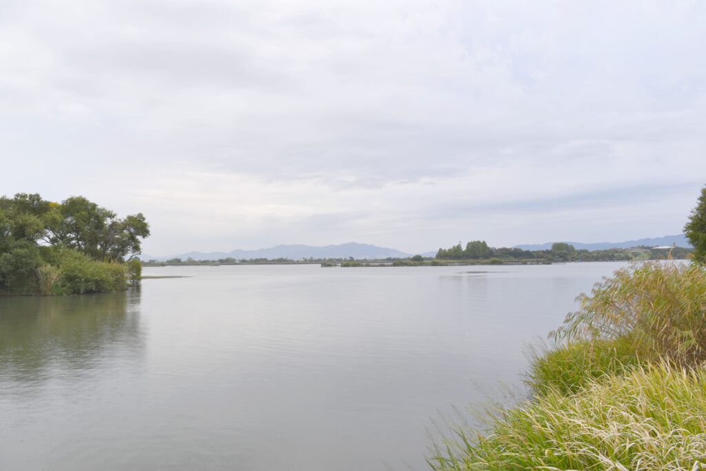 春の琵琶湖バス釣るためのエリア選び_南湖東岸_1