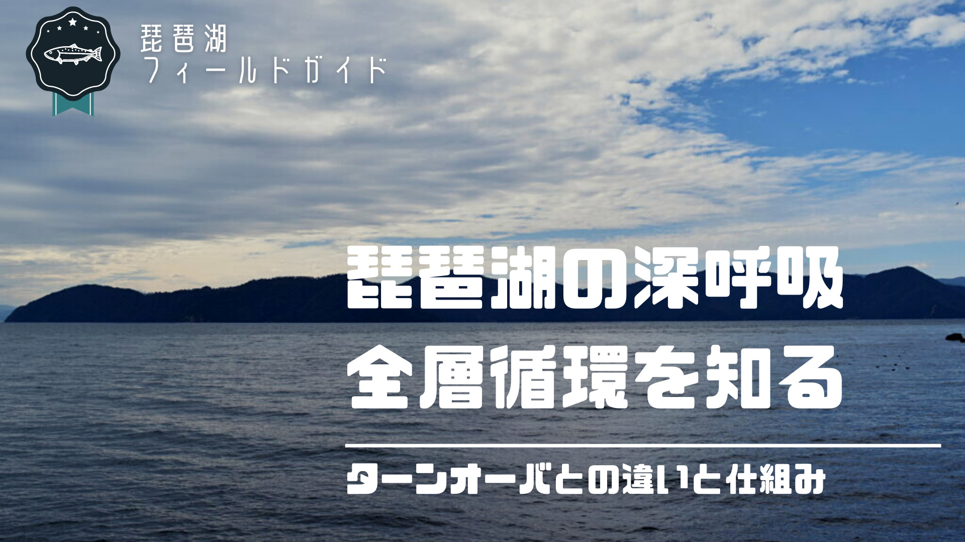 琵琶湖の全層循環について仕組みを徹底解説！ターンオーバーとの違い、生物に与える影響とは？