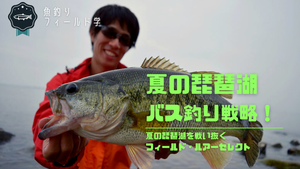 夏の琵琶湖のバス釣りを攻略 おすすめルアー リグ5選とエリア選択を生態に紐付けて解説 Aquabit Link
