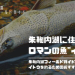 幻の魚「イトウ」が釣れる北海道の朱鞠内湖!地元民がおすすめルアー3選と釣れるトラウトの種類を解説