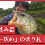 【Youtube】圧倒的な飛距離とバックスライド性能!「issei 沈み蟲」の使い方とセッティングを紹介