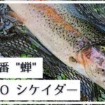 夏のトラウト虫パターンにはティムコシケイダー!2つの使い方とおすすめエリアをご紹介