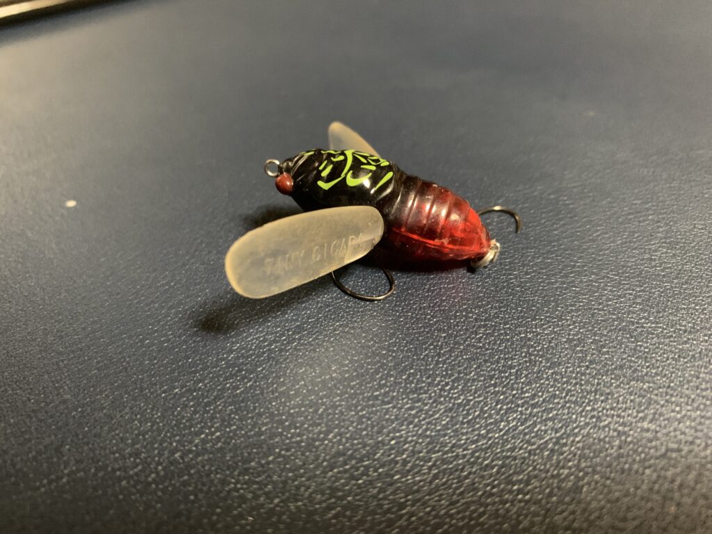 ティムコシケイダー_羽根素材