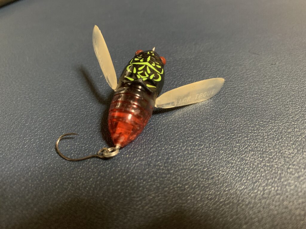 ティムコシケイダー_見た目の画像