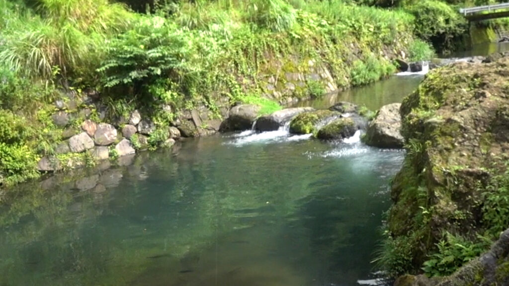 ティムコシケイダーの使いどころ_流れの強いエリア