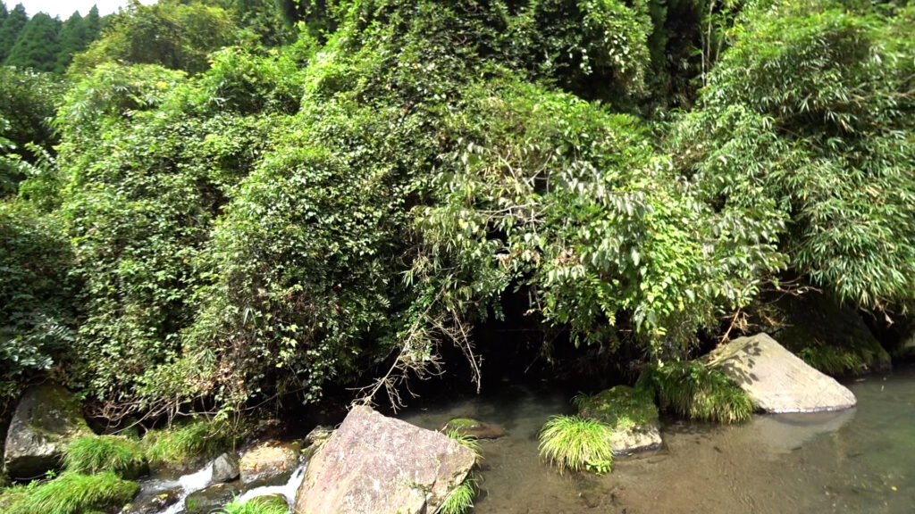 ティムコシケイダーの使いどころ_流れの緩いエリア