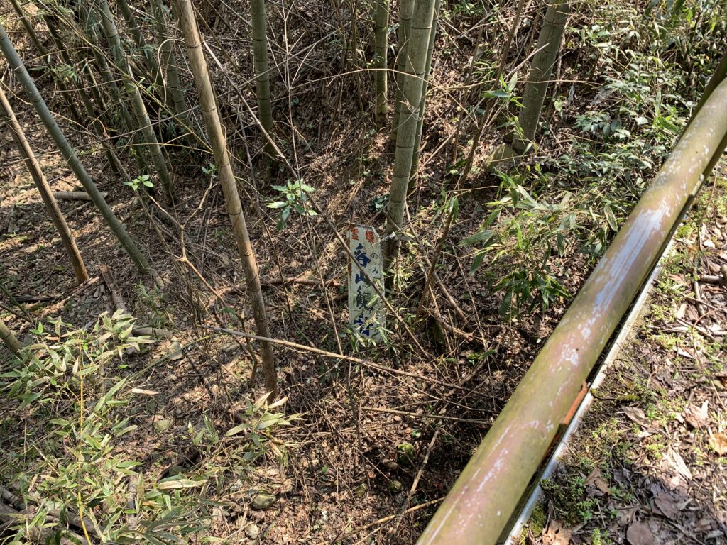 力丸ダムの怖い話_雑木林