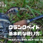 バス釣り基本ルアーのクランクベイト!使い方とおすすめ3選を初心者向けにご紹介
