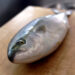 魚の三枚おろしの画像